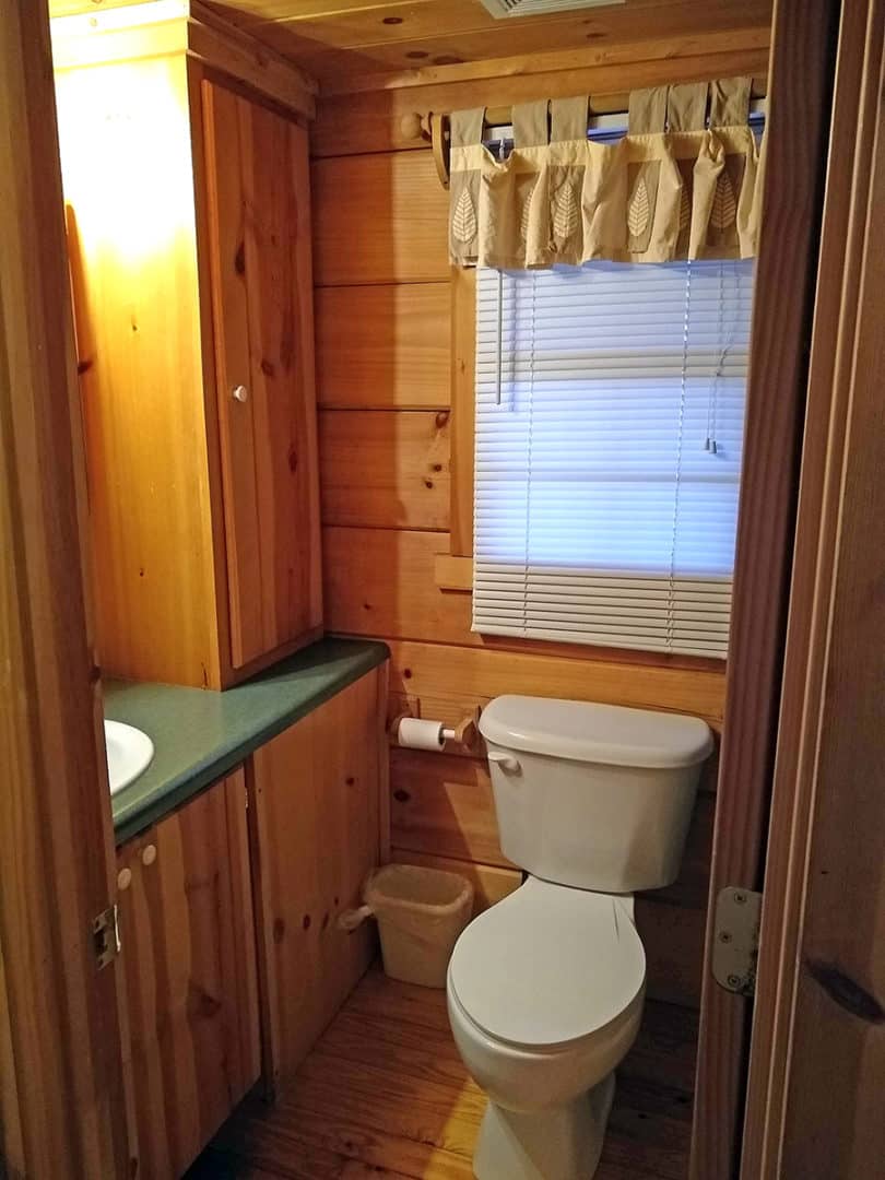Bear_Bathroom3